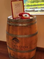 Audio Guest Books Hire Perth